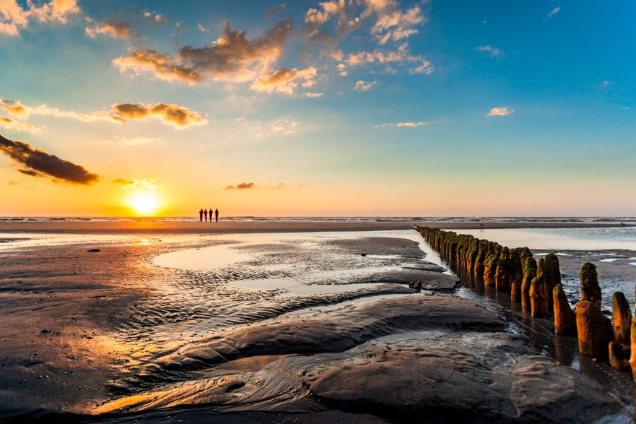 Haal de Wadden bij jou in het huis!