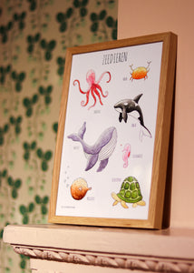 Zeedieren poster A3  - Juulz Illustraties