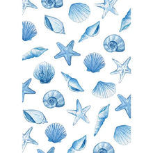 Afbeelding in Gallery-weergave laden, Ansichtkaart - schelpen blauw - Fritsy
