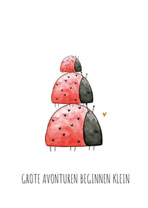 Wenskaart geboorte Lieveheersbeestje - Juulz Illustrations - A6 met envelop