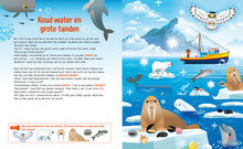 Afbeelding in Gallery-weergave laden, Interactief kinderboek - Speuren naar Dolfijnen
