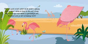 Mijn kiekeboek - Wilde Dieren - Lantaarn